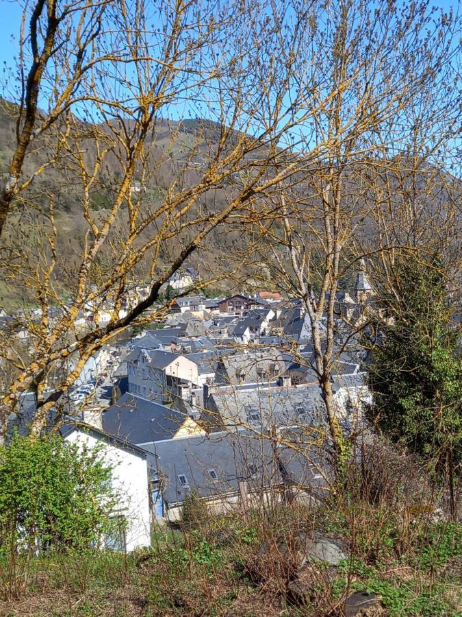 Appartement 2 A 4 Personnes Le Pyreneen A Arreau Carrefour Des Activites De Montagne Exterior photo
